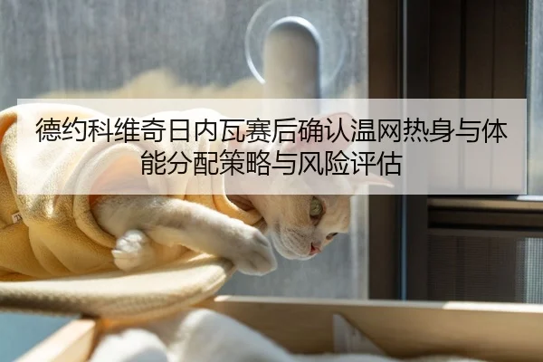 de-yue-ke-wei-qi-ri-nei-wa-sai-hou-que-ren-wen-wang-re-shen-yu-ti-neng-fen-pei-ce-lve-yu-feng-xian-ping-gu-2-802.jpg